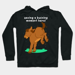 Having A Bucking Moment Hoodie